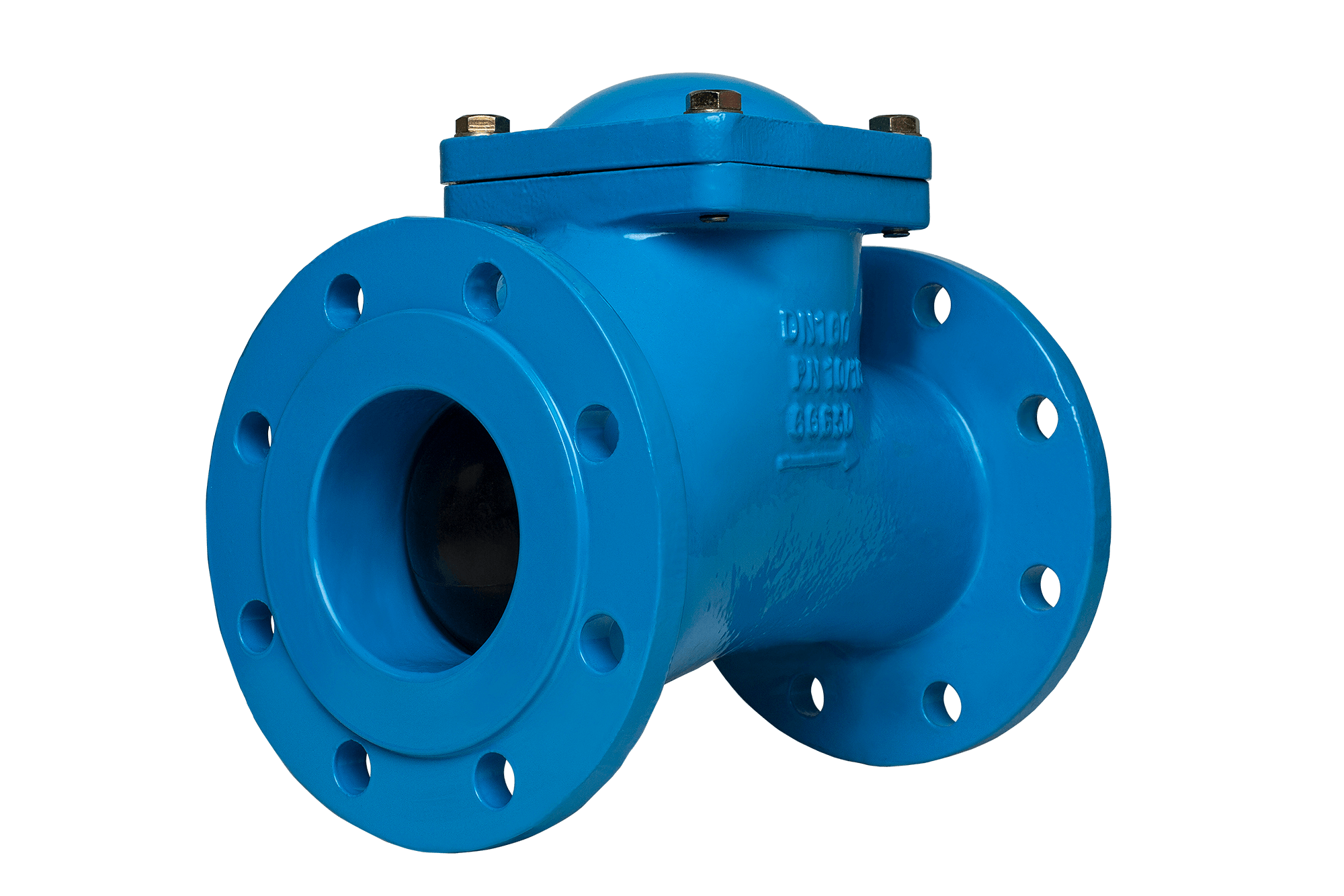 Check Valve